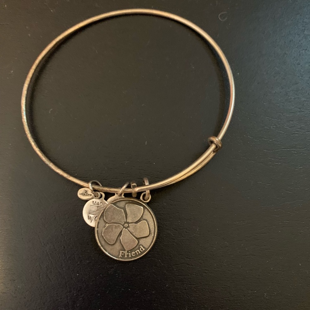 Alex and Ani Friendship Bracelet